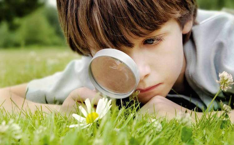 Focus and magnifying glass